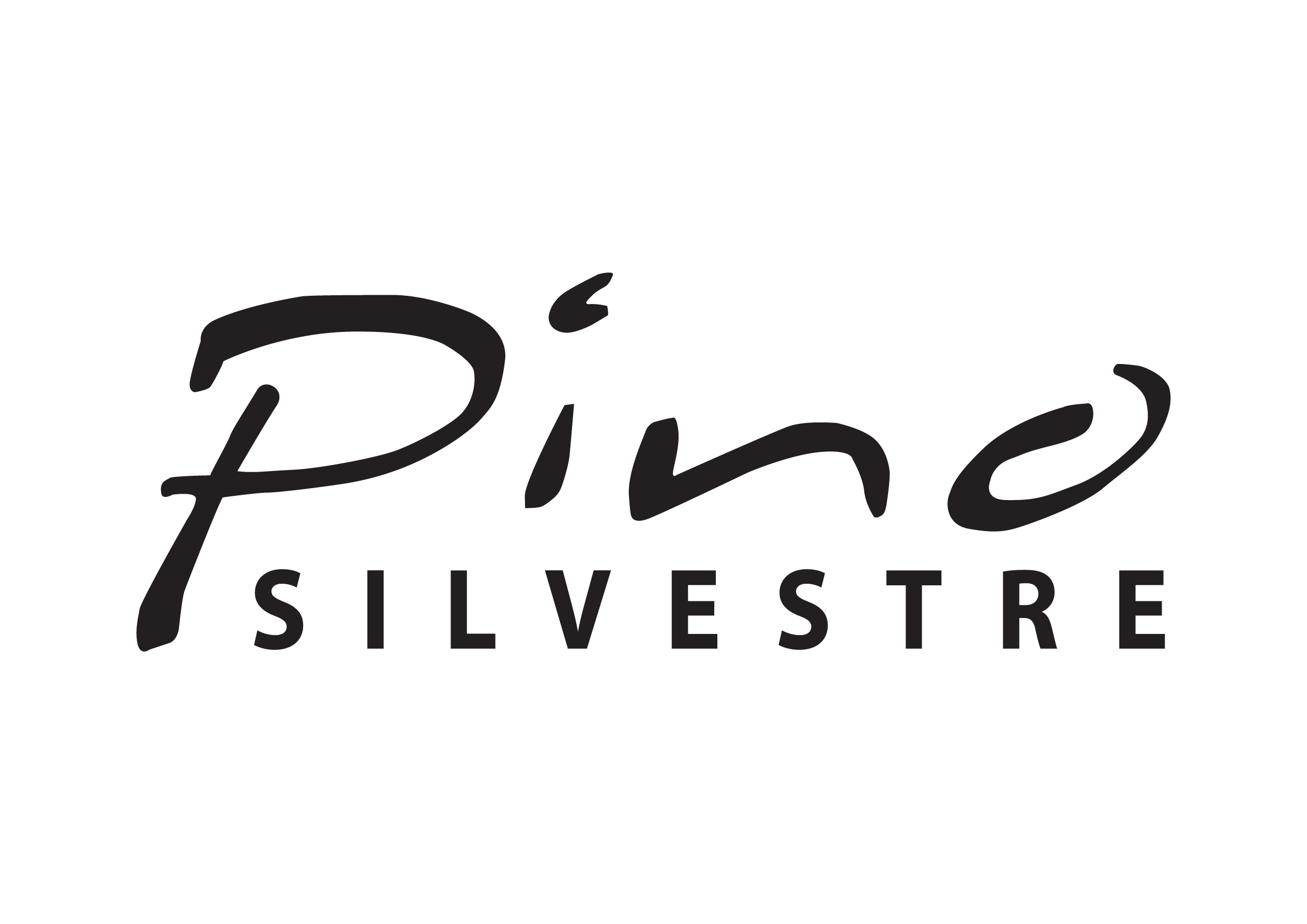 Pino Silvestre